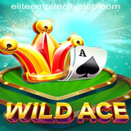 Exploring WildAce: Dive into Elite Empire City